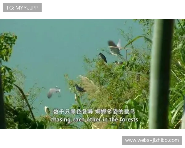 韩国电影公司购入HLE纪录片版权 悲情叙事吸引制作商青睐